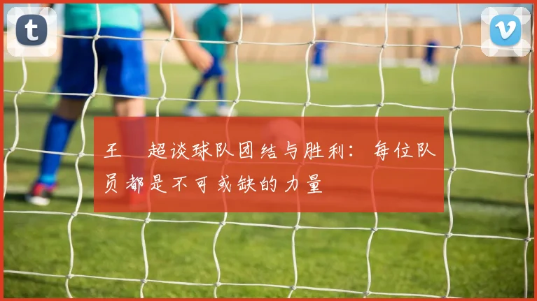 王燊超谈球队团结与胜利：每位队员都是不可或缺的力量