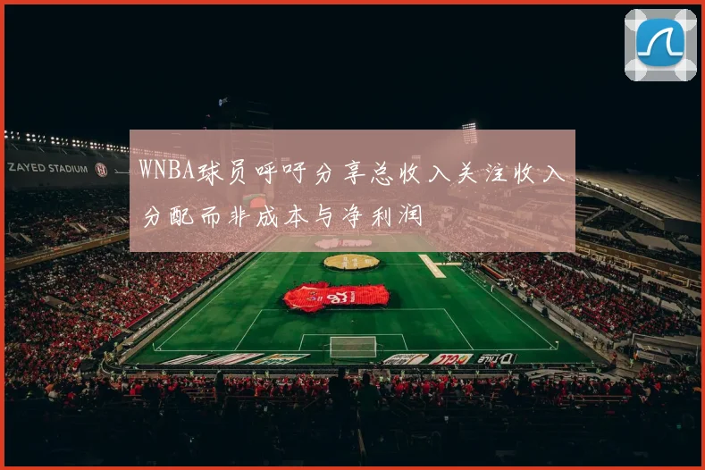 WNBA球员呼吁分享总收入关注收入分配而非成本与净利润