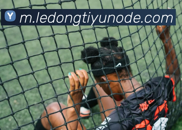 数据防护可视化