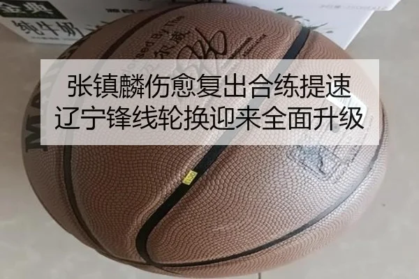 张镇麟伤愈复出合练提速 辽宁锋线轮换迎来全面升级 - LDSPORTS
